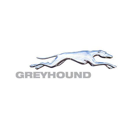 Greyhound